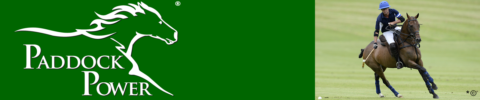 paddockpower